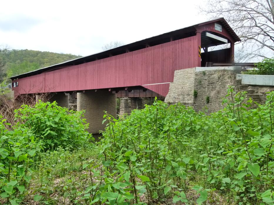 Covered Bridge Wood