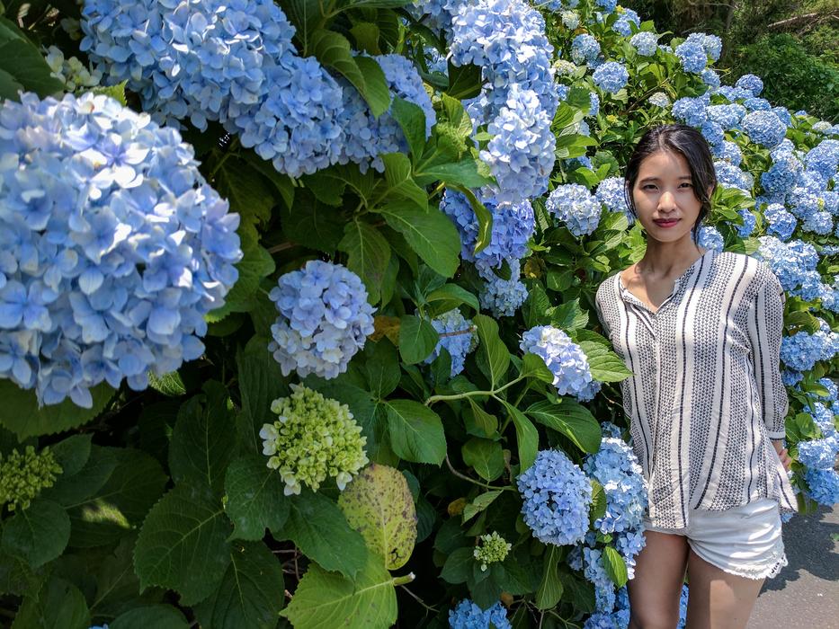 Hydrangea Jeju Women'S