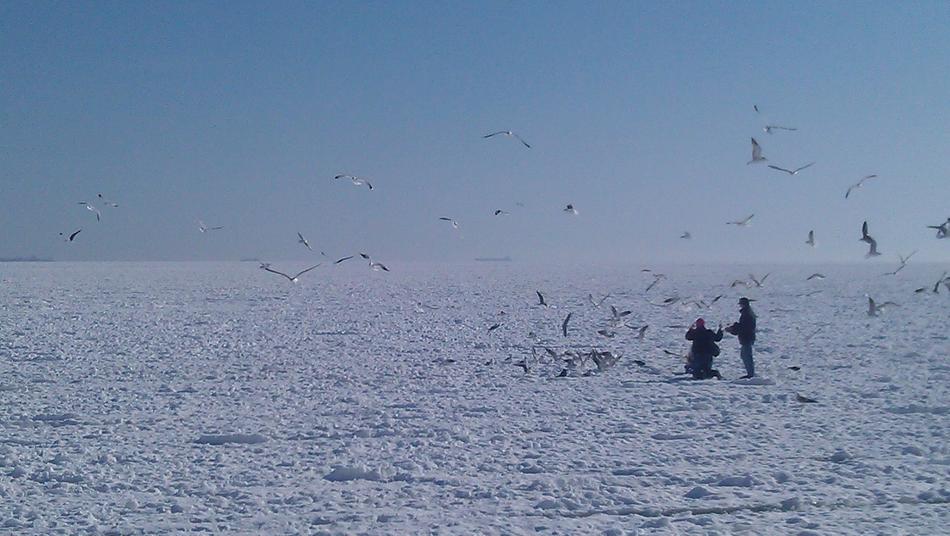 Sea Ice Winter