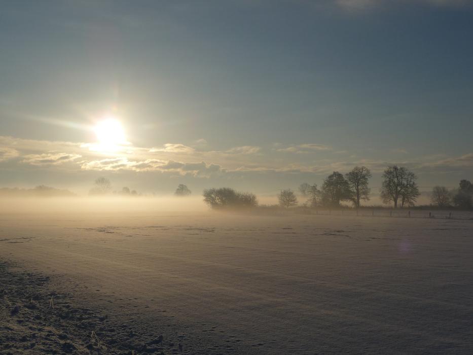 Winter Sun Wintry