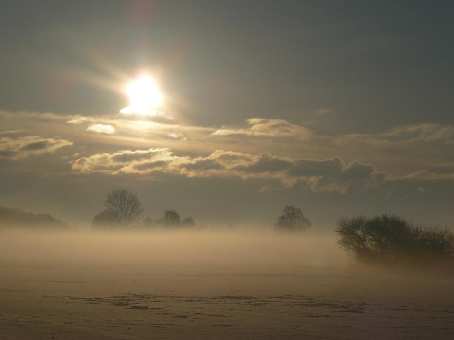 Winter Sun Snow