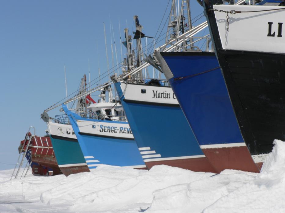 Boats Fishing Winter