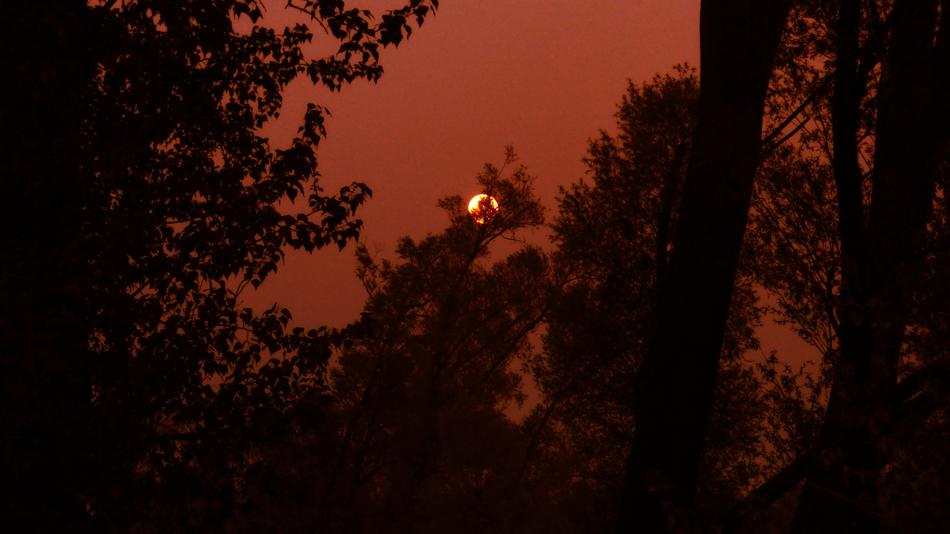 Red The Sky