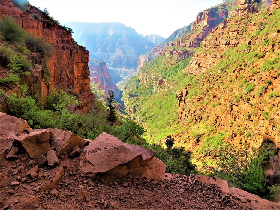 stone canyon with herbs