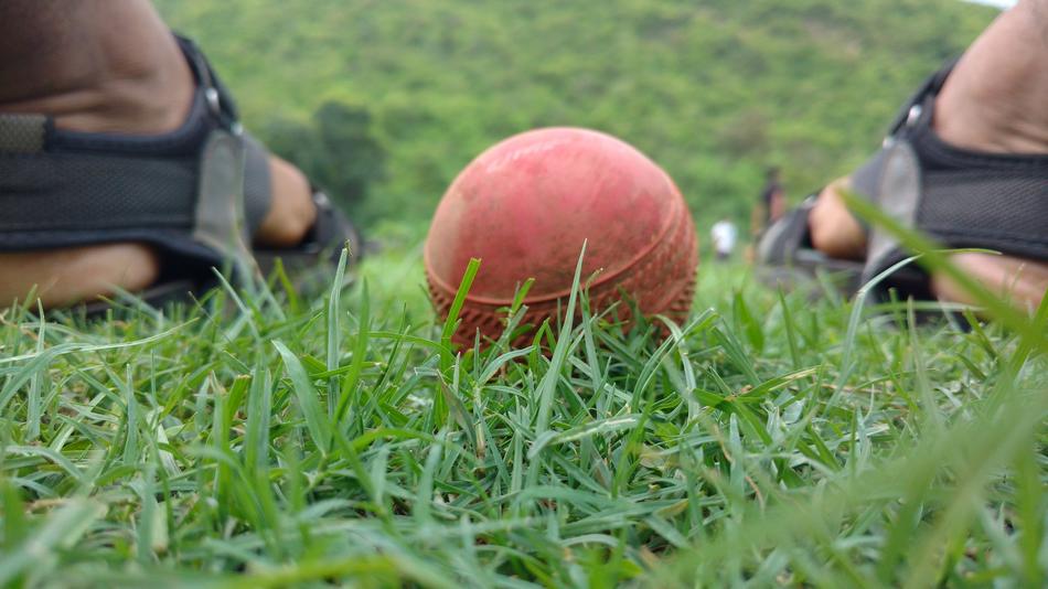 Ball Grass Green
