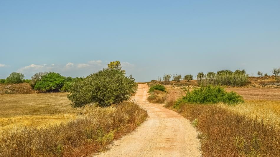 Country Road Countryside