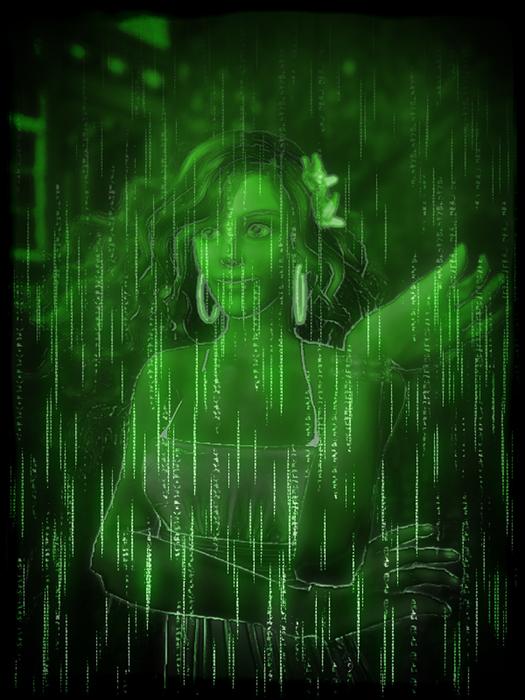 second life avatar matrix