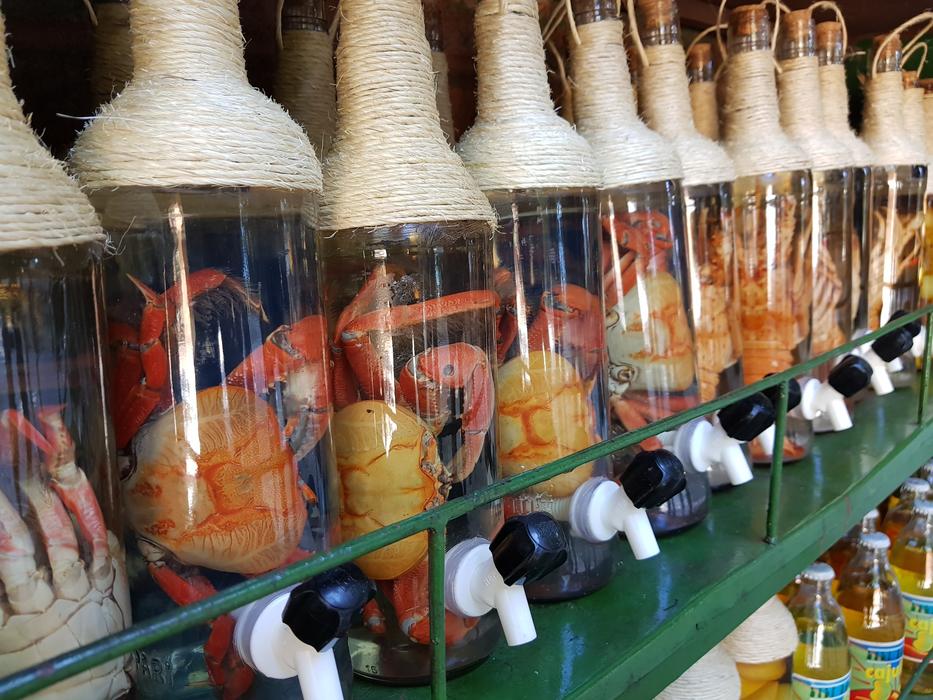 Cachaça Cachaças Drinks