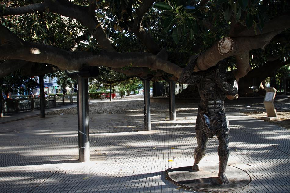 Tree Giant Buenos Aires