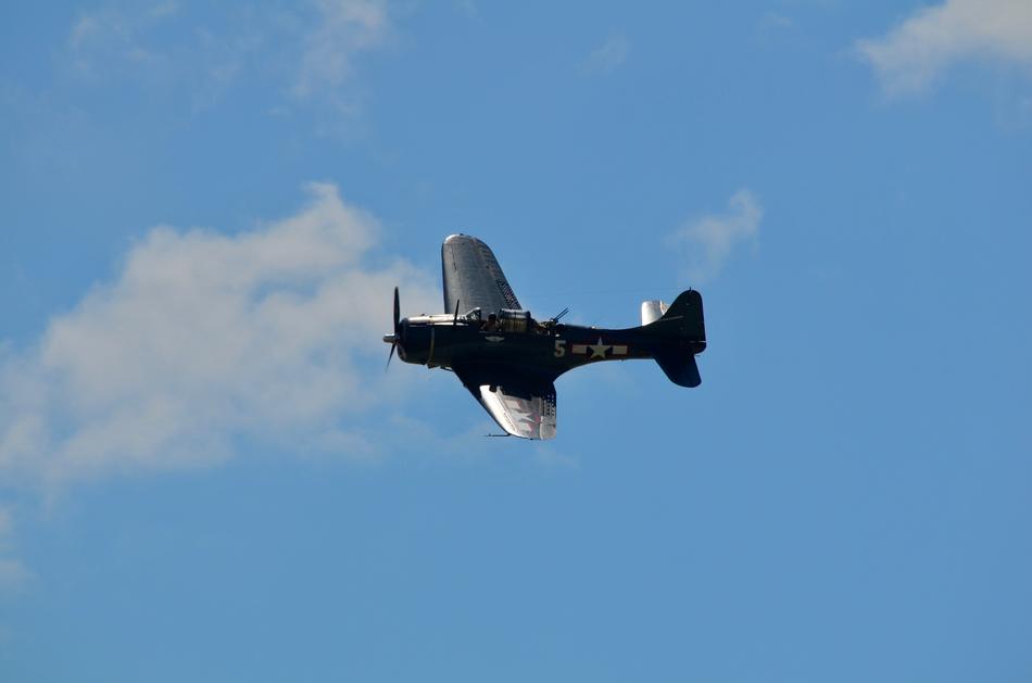 Fighter Aircraft Flight