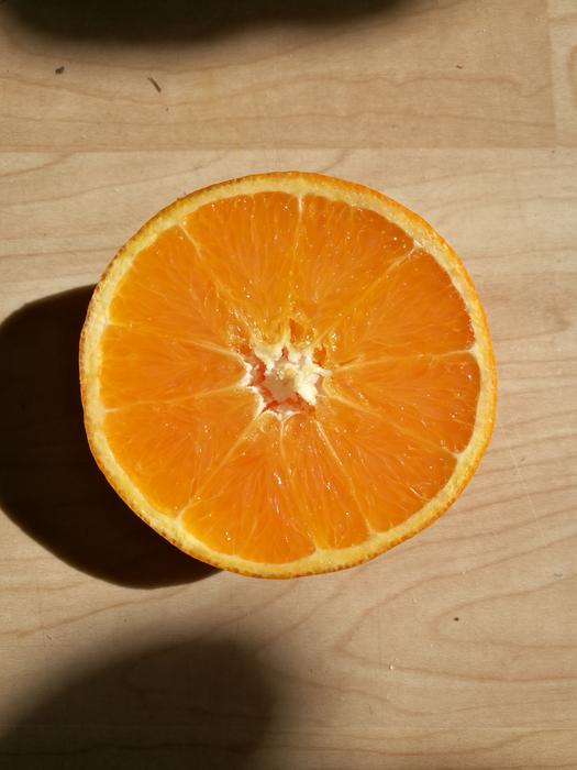 Orange Summer Fresh