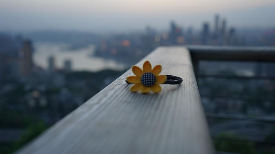 a little flower of color