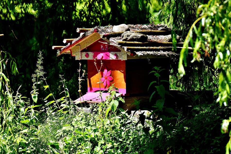 Beehive Bee House Bees