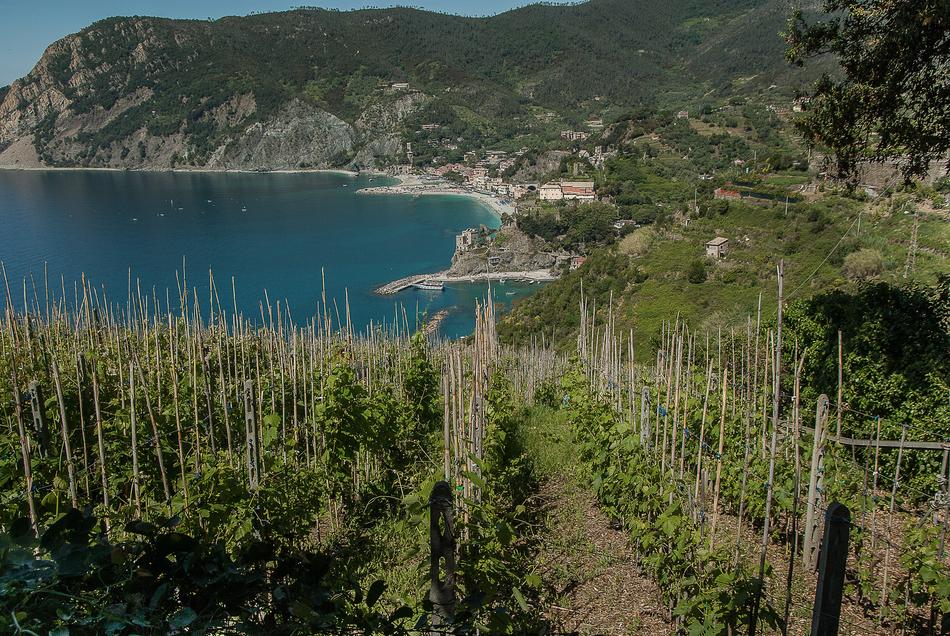 Italy Cinque Terre Monterosso