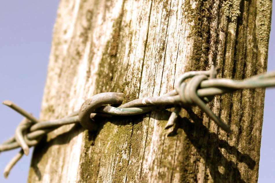 Barb Wire Fence