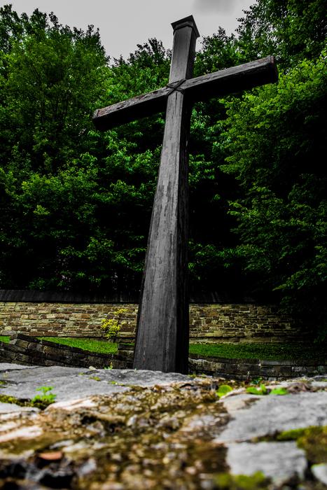 Cross Trees