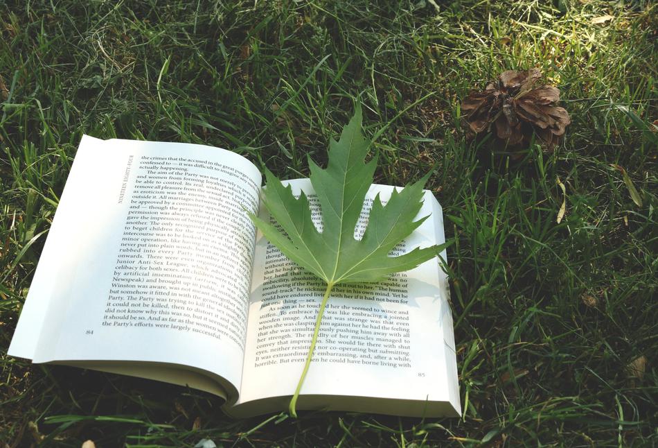 Book Sheet Grass