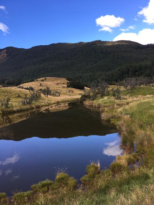 The Scenery New Zealand
