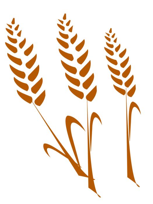 the wheat wheat silhouette drawing
