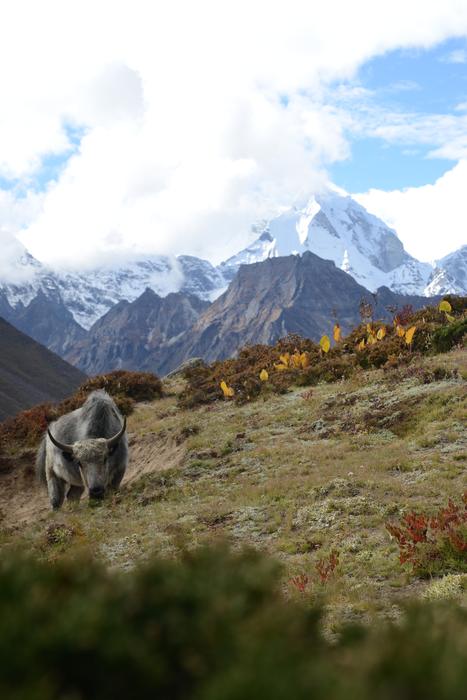 Nepal Himalayas