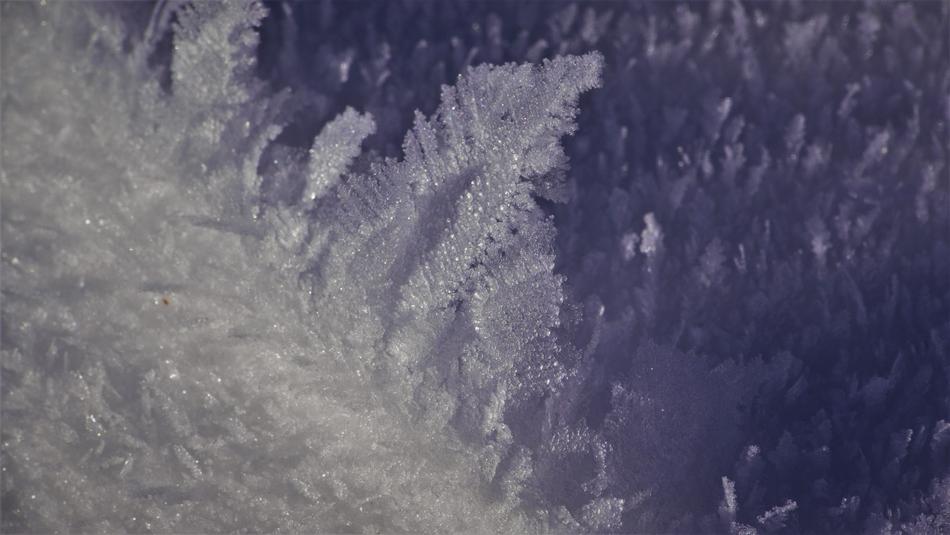 Winter Snow Crystal