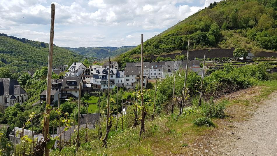 Town Of Klotten Mosel