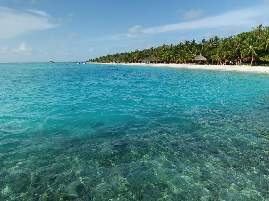Ocean Sea Water