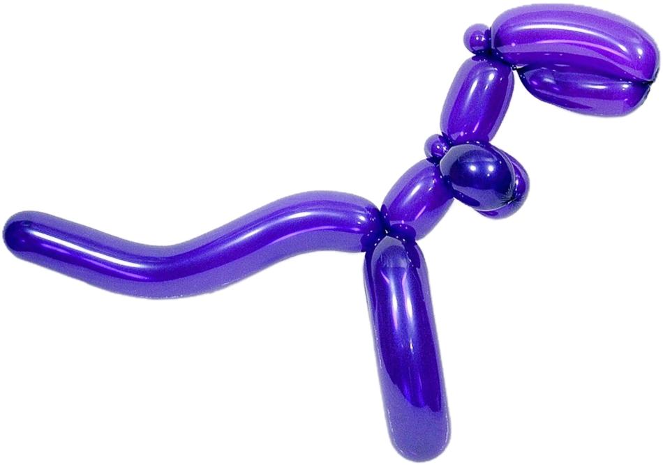 Isolated Balloon Dinosaur Birthday
