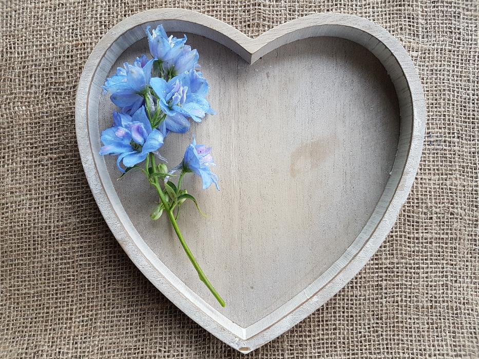 a blue flower on a wooden heart