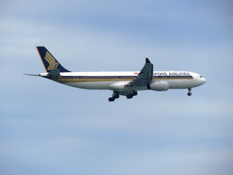 Singapore Airlines Flight Aero
