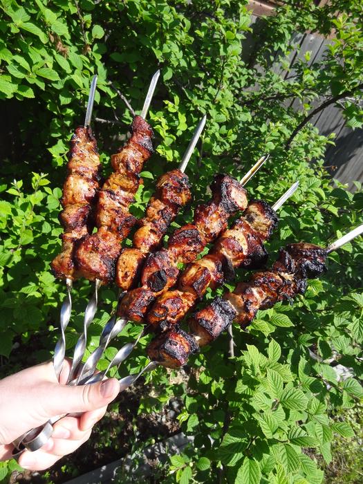 Shish Kebab Shashlik