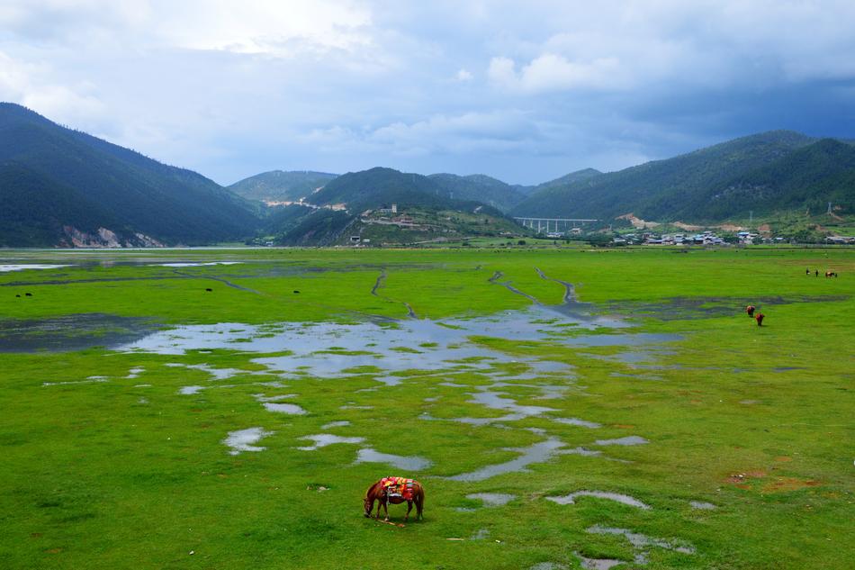 In Yunnan Province Prairie