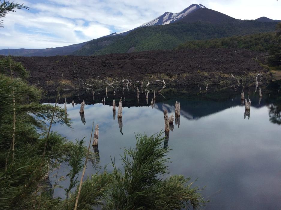 pillars in the water in the lake