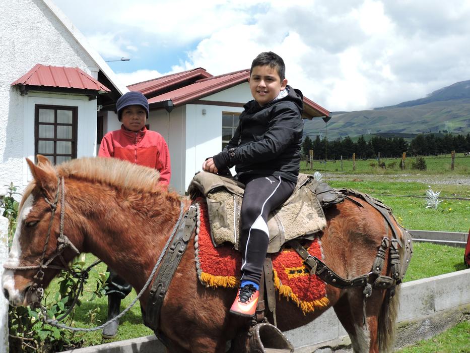 jolly boy on a horse