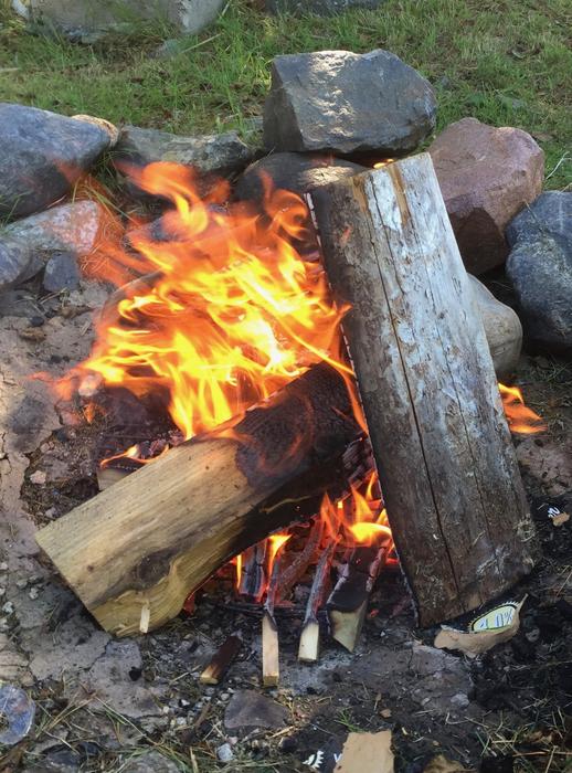 Fire Wood Summer