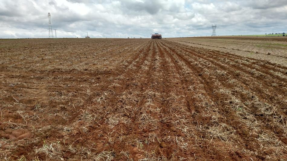 Agriculture Planting