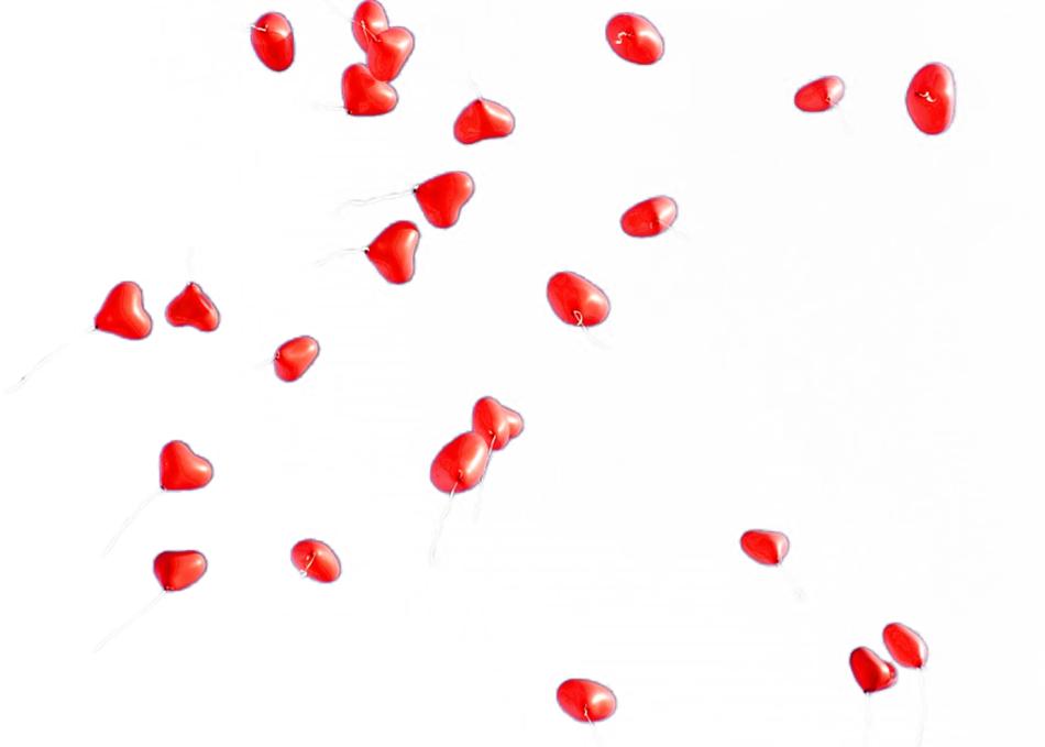 hearts on a white background is beautiful.