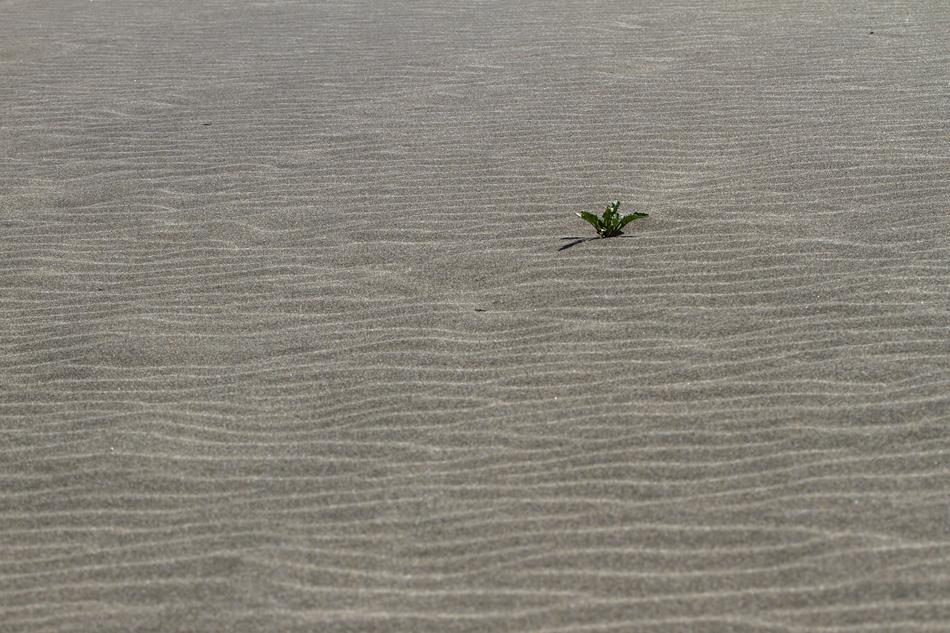 Lonely Sand Beach view