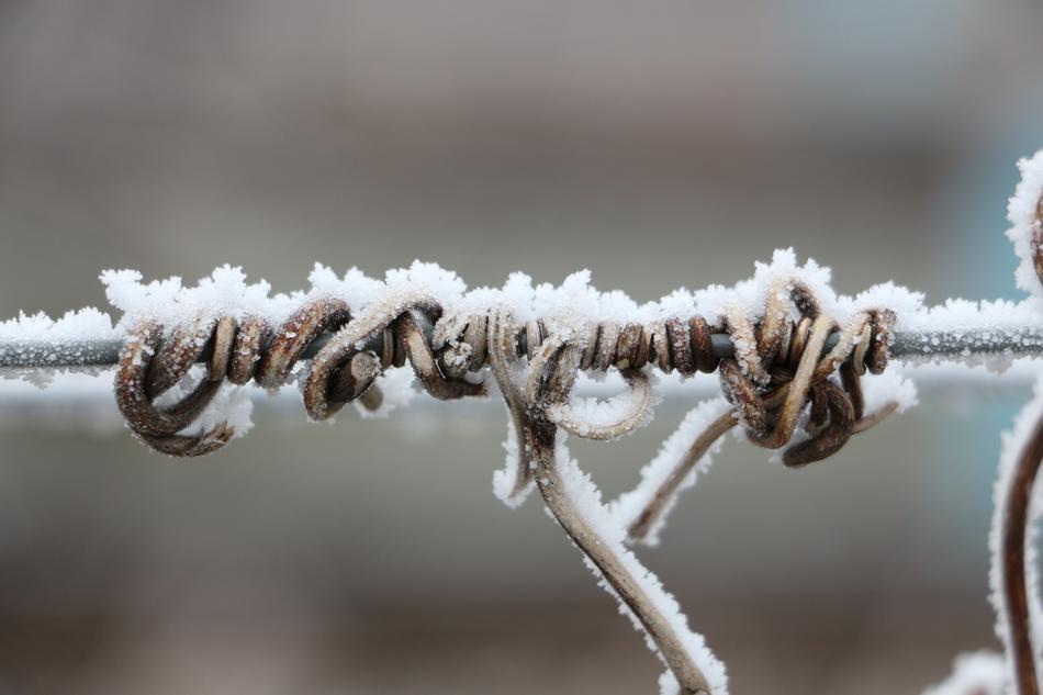 Ice Age Frost Cold
