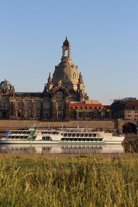 Dresden Elbe Grass