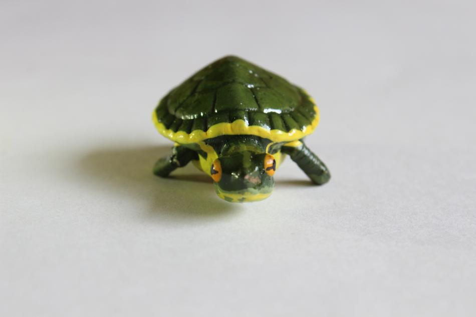 Turtle Crafts