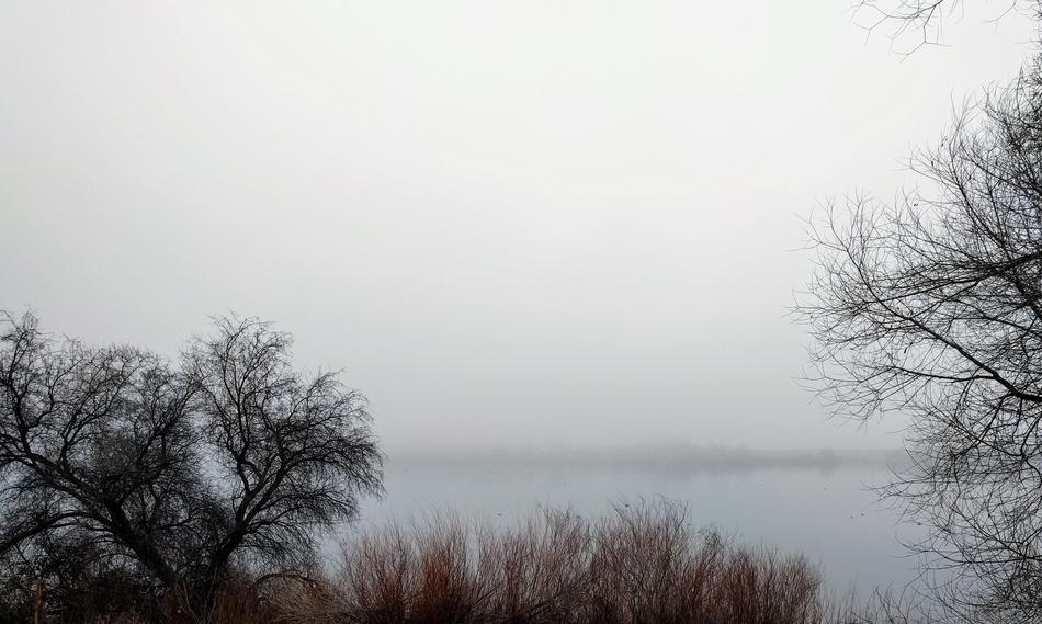 seascape with trees is beautiful