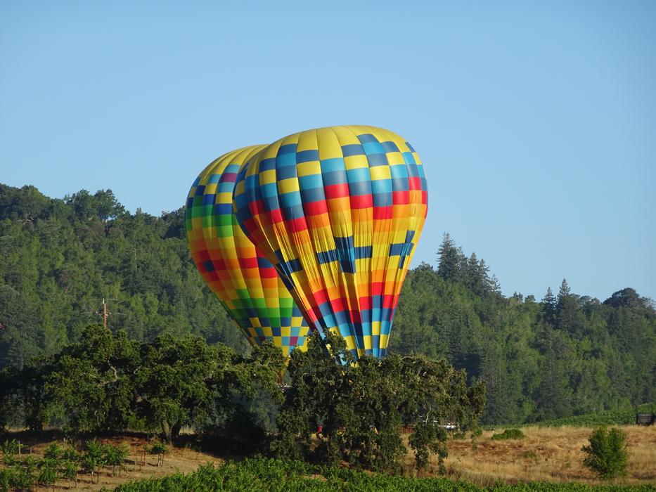 Hot Air Balloon Napa California