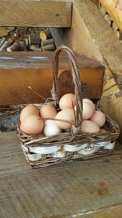 Eggs In One Basket