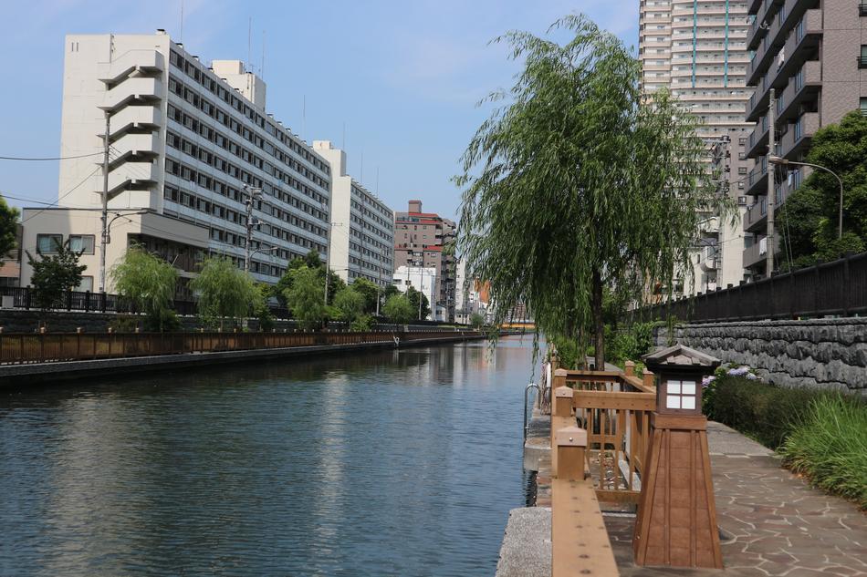 the river in the city is beautiful with trees
