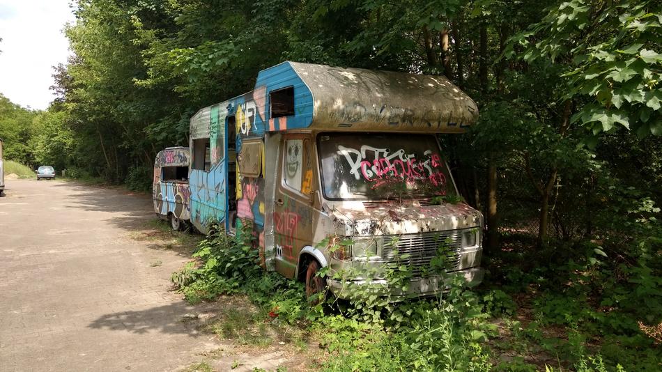 Wild Worn Overgrown