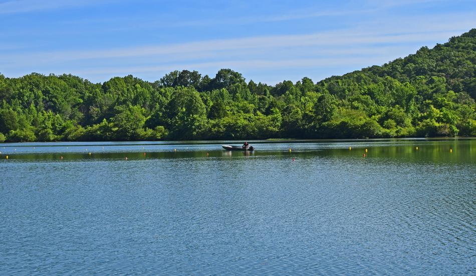 Melton Lake Clinch River Tennessee