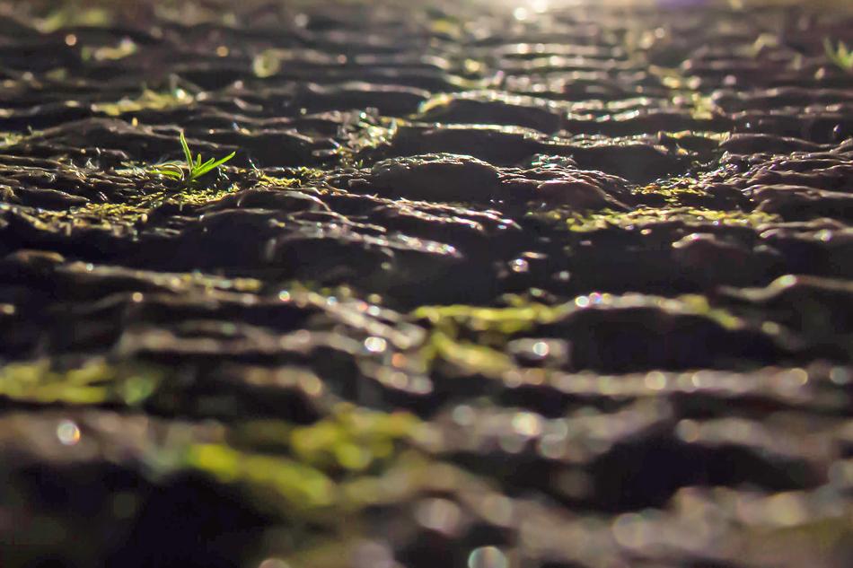 Road Asphalt Ground