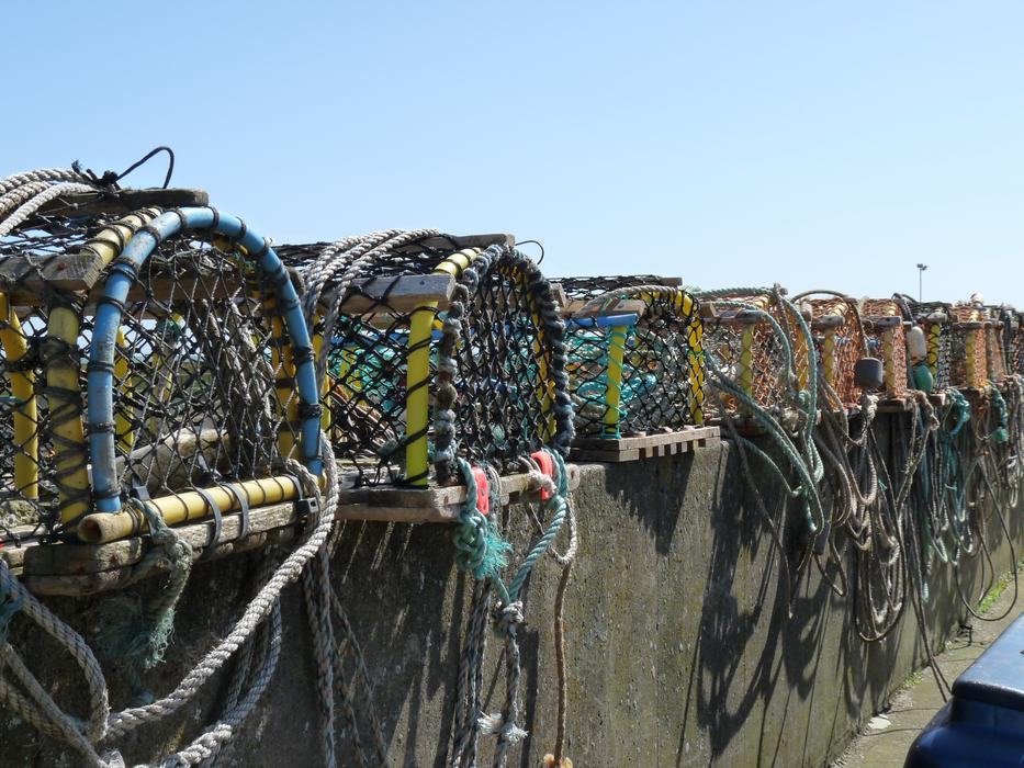 Fish Traps Sea
