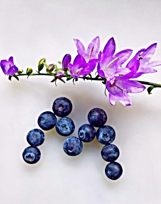 Bluebells Violet Blueberries